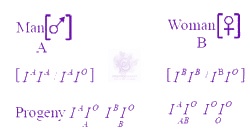 NEET 2015 Zoology, Principles of Inheritance and Variation — solution figure