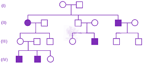 NEET 2015 Zoology, Principles of Inheritance and Variation — question figure