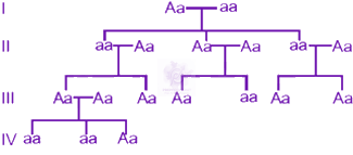NEET 2015 Zoology, Principles of Inheritance and Variation — solution figure