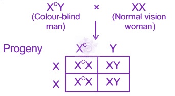 NEET 2016 Zoology, Principles of Inheritance and Variation — solution figure