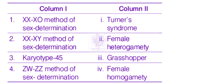 NEET 2019 Zoology, Principles of Inheritance and Variation — question figure
