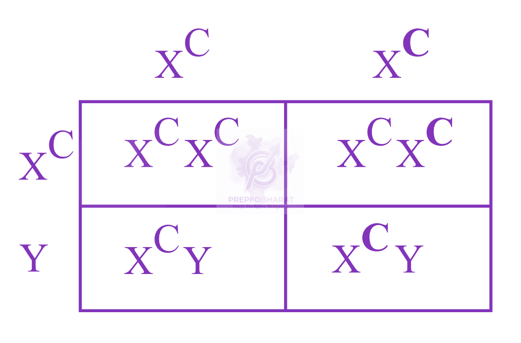 NEET 2022 Zoology, Principles of Inheritance and Variation — solution figure