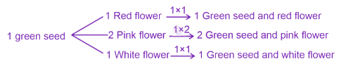 NEET 2023 Zoology, Principles of Inheritance and Variation — solution figure 2