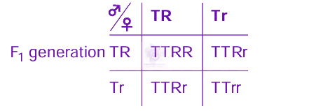 NEET 2024 Zoology, Principles of Inheritance and Variation — solution figure