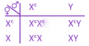 NEET 2025 Zoology, Principles of Inheritance and Variation — solution figure