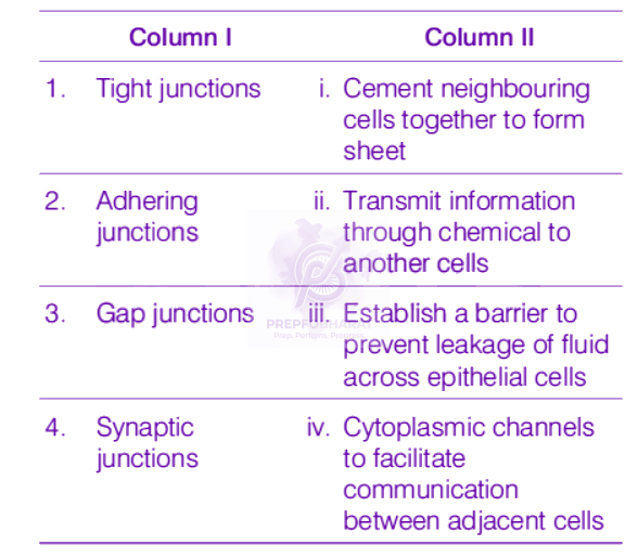 NEET 2019 Zoology, Structural Organisation in Animals — question figure