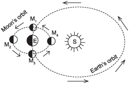 Geography question diagram