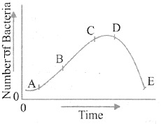 CSAT question diagram