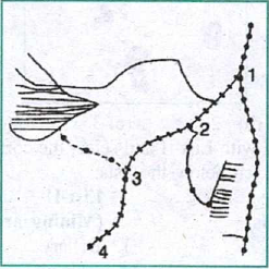 Geography question diagram