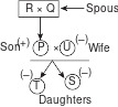 CSAT question diagram