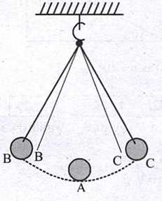 Science question diagram