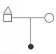 CSAT question diagram