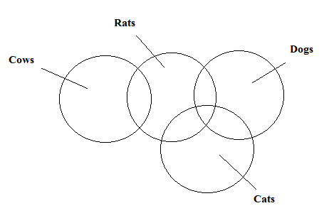 CSAT question diagram
