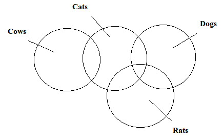 CSAT question diagram