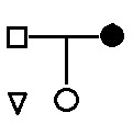 CSAT question diagram