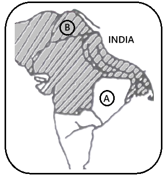 History question diagram